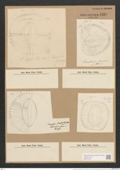 Campylodiscus crebrecostatus Grev. (de-Toni-Nr.: Genus 57, Species 2449) Zeichnungen Sammlung Grunow Nr. 4929 (NHMW-BOT-W0373139)